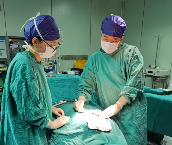 96岁乐龄老太遭逢面部浩大肿瘤危在早晚，公利病院多学科“拆弹”收效